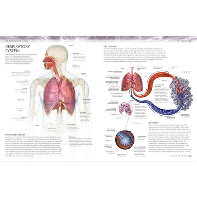 The Human Body Coloring Book: The Ultimate Anatomy Study Guide (Second Edition)