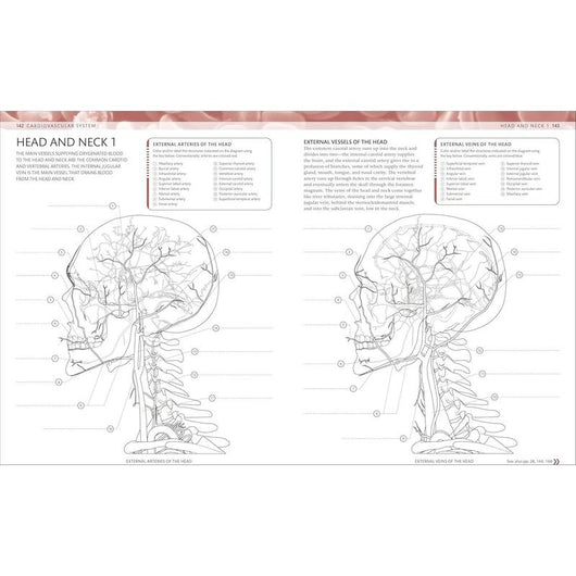 The Human Body Coloring Book: The Ultimate Anatomy Study Guide (Second Edition)