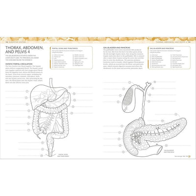 The Human Body Coloring Book: The Ultimate Anatomy Study Guide (Second Edition)